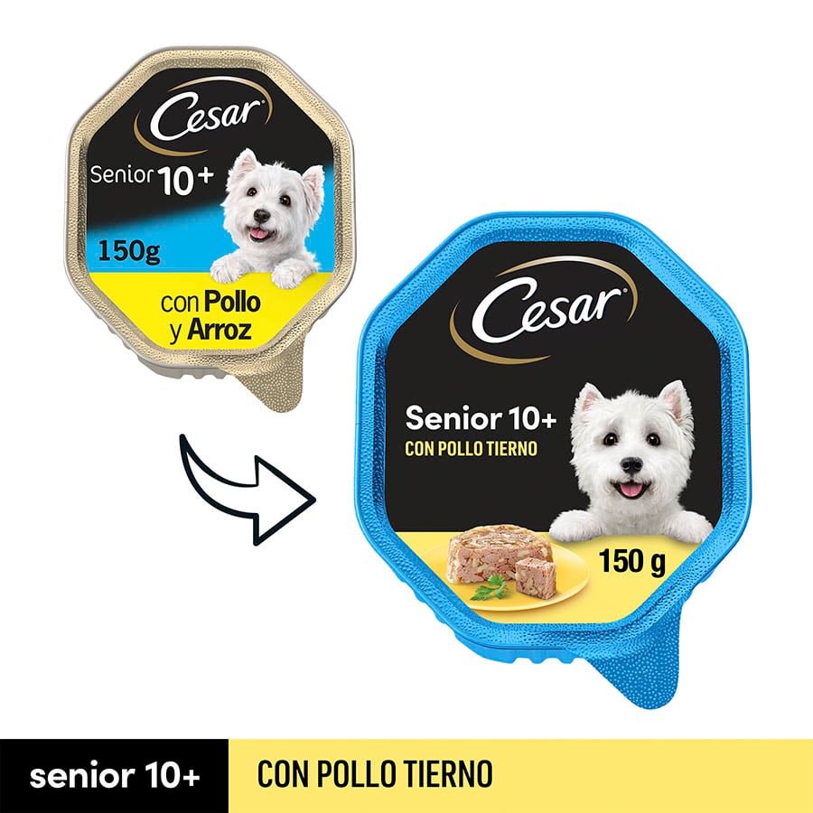 Cesar Senior Pollo en gelatina tarrina para perros Kiwoko
